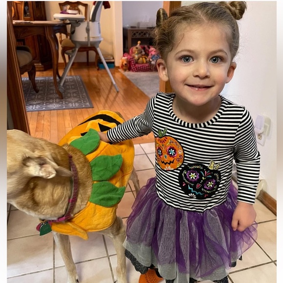Emily Rose Black White Striped Pumpkin Tiered Tutu Halloween Dress, Girls 2T - Picture 9 of 9